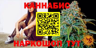 сатива Можайск