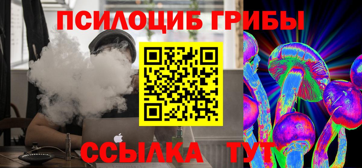 Псилоцибиновые грибы прущие грибы Удомля